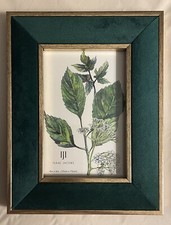 Isaac Jacobs GREEN Velvet/Metallic Gold Double Border Frame 4x6 Great Gift New 