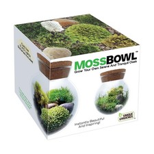 The Unique Gardener Moss Bowl Terrarium Kit - Create Your Serene Sanctuary