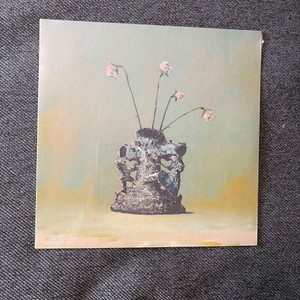 The Caretaker Vinyl for sale | eBay