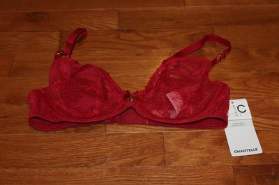 BNWT Chantelle Orchids Underwire Plunge Bra MSRP 95!!!