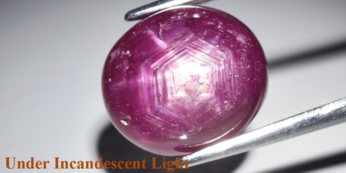 5.81ct 10.5x9mm Oval Cab Purplish Red 6 Ray Star Ruby (Heated Glass Filling) - Picture 3 of 12