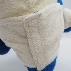 Bild 9 von 12