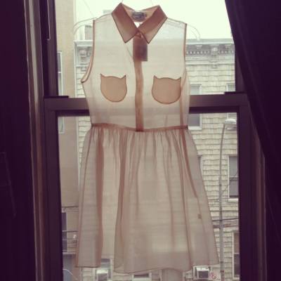 It s Okay My Dear Peach Organza Silk Cat Lover Whisker Dress Size 0