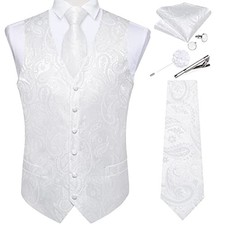 Mens Paisley Vest Tie Set with Lapel Pin Tie Clip 7PCS XX-Large White Paisley