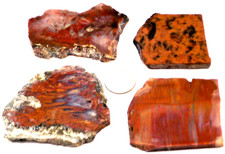 4 Beautiful Awesome Red Agate/Jaspers Total 7.9 Ounces 1st Picture Wet #3595