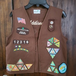 Girl Scout Vest Loaded With Patches And Pins Brownies 2017 2019