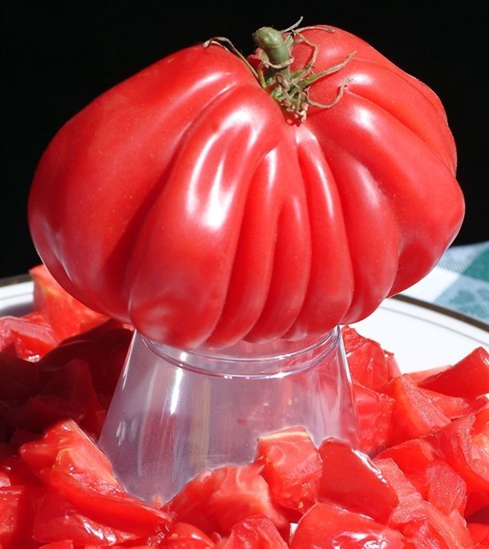Tomate Rosa Tlacolula - 5+ semillas - ¡IMPRESIONANTE y DULCE! P 337