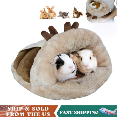 Guinea Pig Hideout Small Animal Sleeping Bed Guinea Pigs House