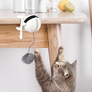 motion cat toy