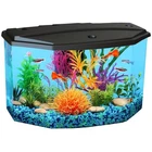Stylish 3-Gallon Tropical Fish Tank with Powerful Filtration