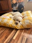 Custom Dog Bed, Dog Bed Cushion Cover, Personalized Dog Bed, Dog Bed with Name