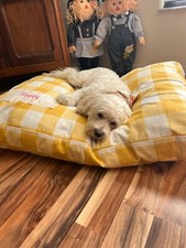 Custom Dog Bed, Dog Bed Cushion Cover, Personalized Dog Bed, Dog Bed with Name