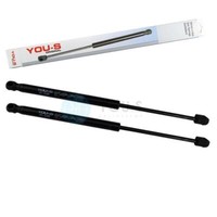 2 X You.S GasdäMpfer FüR BMW X5 (E70) BMW X6 (E71, E72) - Motorhaube Vorne NEU