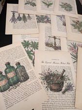 Grimoire Poison Herbs Printed Vintage Book Pages Set of 12 Junk Journal Paper