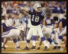 Peyton Manning Signed Autographed Photo 11X14 CAO #A40025 AUTO