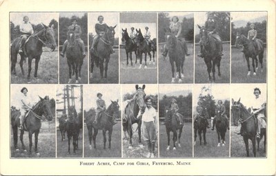FOREST ACRES CAMP FOR GIRLS fryeburg me. postcard. maine horses multiview rare