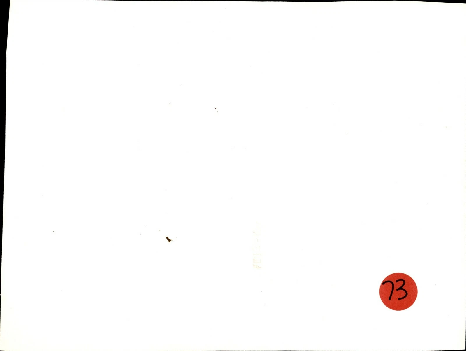 LG901 1973 AP Wire Photo RON LYLE Undefeated Heavyweight Boxing Champ Workout - 画像2/2