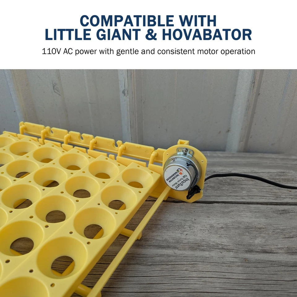 Motor giratorio de huevos de repuesto - Turner de alto rendimiento para incubadora - Huevos Foto 3 de 4