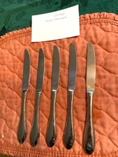 5 Gorham Stainless Steel STUDIO Dinner Knives 9-1/4 Glossy Flatware Vietnam VGUC