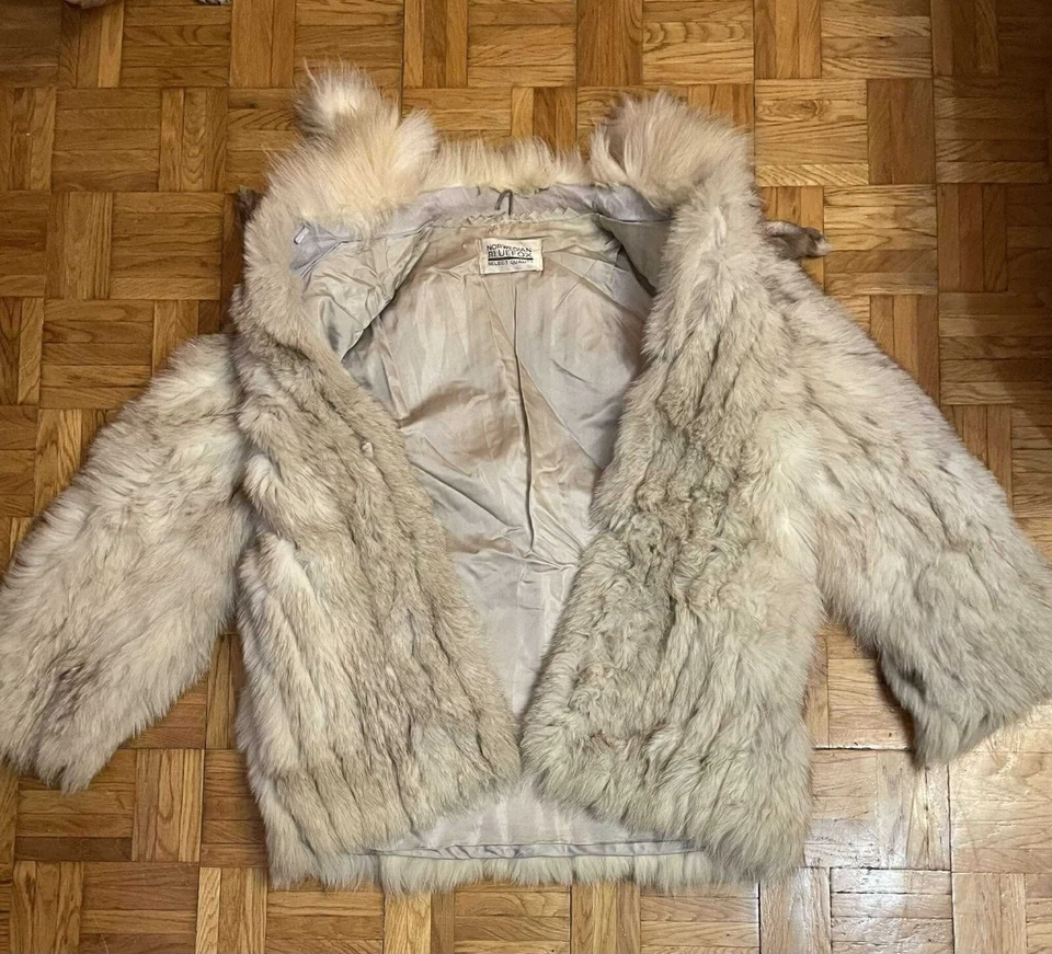 bluefox noruego Foto 2 de 4