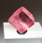 GEMMY TREASURE RHODOCHROSITE CRYSTAL!!! SWEET HOME MINE COLORADO — photo 1