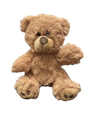 Small Teddy Bear Stuffed Animal