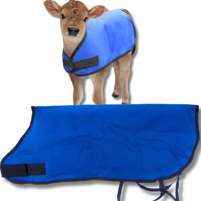 Jeffers Livestock Insulated Calf Blanket, Blue, 1 Pack  - 200 grams of Polyfill,