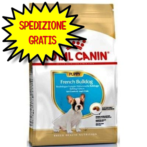 ROYAL CANIN CANE BULLDOG FRANCESE PUPPY 1 KG