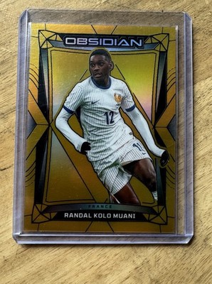 Randal Kolo Muani 1/10 Gold Obsidian 2024 Panini France Fail/Fehler Arm/Hand