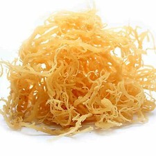 Angel's 100 Jamaican Irish Sea Moss Natural - Non GMO No Preservatives