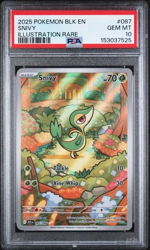 2025 Pokemon Scarlet And Violet Black Bolt Snivy Illustration Rare #87 PSA 10