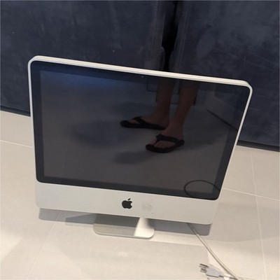 Apple iMac 21.5  (2009 2010)   Powers On   Needs Reset   Great Project