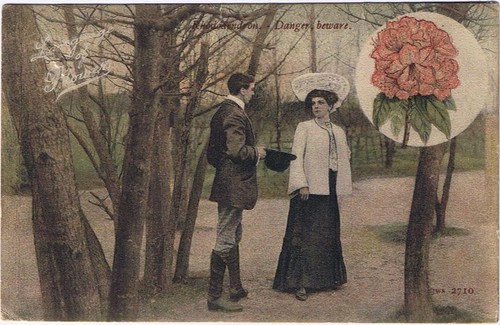 United Kingdom UK Postcard Language Of Flowers Rhododendron Danger Beware 1908