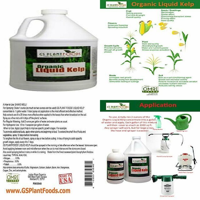 GS Plant Foods Organic Liquid Kelp Fertilizer (1 Gallon