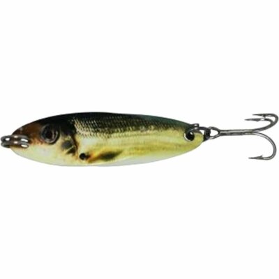 ACME                     Kastmaster Spoon     SW 225               GOLDEN SHINER