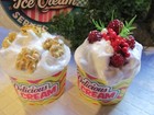 2 FAKE ARTIFICIAL ICE CREAM TUBS, 1 WALNUT 1 RASPBERRY ,TV CAFE PROP