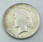 1921 Peace Silver Dollar Coin Ungraded/Circulated