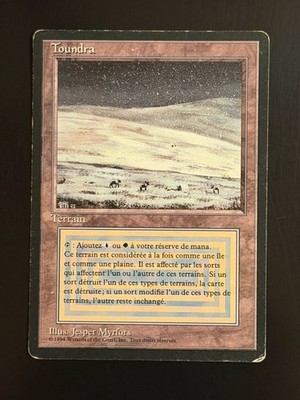 MTG - Tundra Tundra - Revised 3e FBB FR - Played - Fabuen Magic