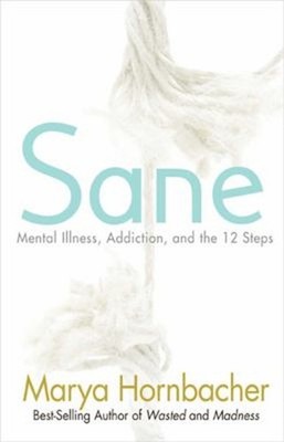Sane : Mental Illness, Addiction, and the 12 Steps Paperback Mary