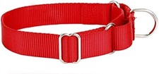 Heavy Duty Nylon Martingale Dog Collar Red