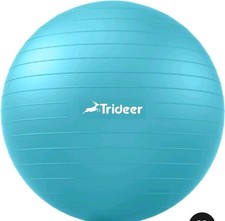 Yoga Exercise Ball 65cm with Pump for Balance, Birthing, Office Fitness Use