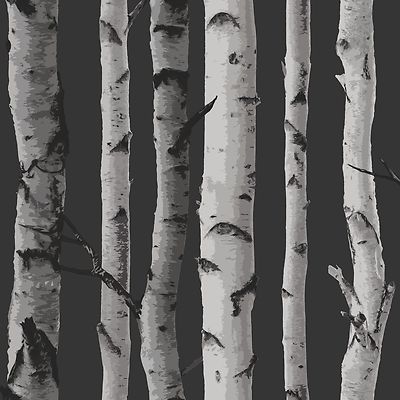 BIRCH TREES BLACK / SILVER METALLIC LUXURY WALLPAPER FINE DECOR FD31052