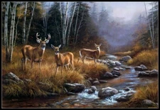 Deer Creek - DIY Chart Counted Cross Stitch Patterns Needlework 14 ct Aida   