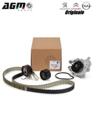 Courroie de distribution Citroen JUMPY