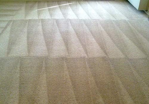 Carpet Dry Cleaning Kit 250 - Resolve Allergens Stain Smell Moisture from Rug Fu - Picture 9 of 9