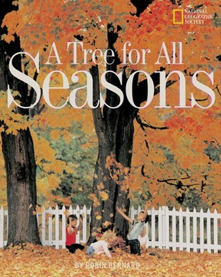 Large Format Multicolor Picture Book for Beginning Readers 16 Pages