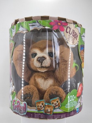 FurReal Cubby der neugierige Bär Spielzeug Teddy Hasbro mit Honigtopf getestet & funktionsfähig