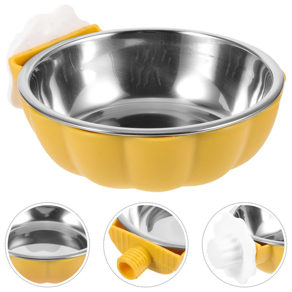Dog bowls store for small dogs