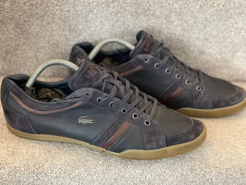 lacoste trainers size 9.5
