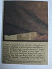 Bild 2 von 2
